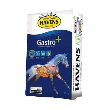 Gastro Plus 20 kg gegen Magengeschwüre